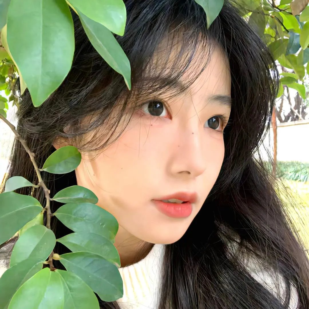 没有未来