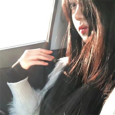 内战圣伯纳犬